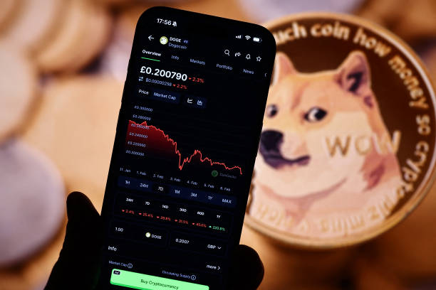 Dogecoin Price Prediction: 500% Rally Possible?
