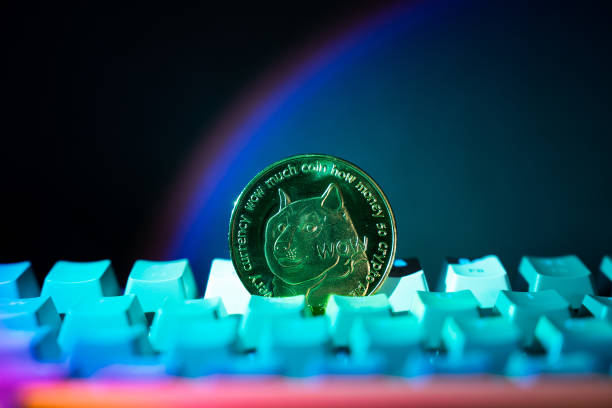 Dogecoin Explodes: Analyst Predicts $0.7 Rally