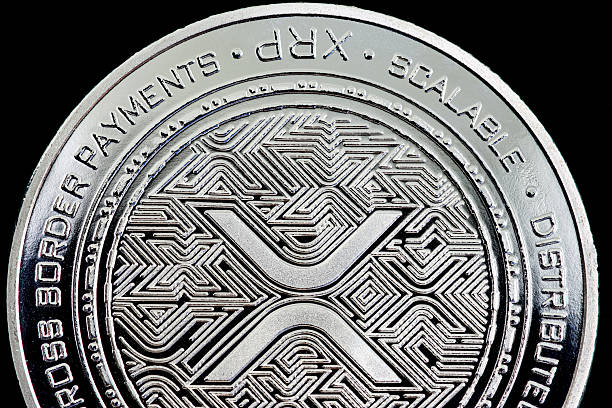 Musk's X Payment Crypto: XRP over Doge? Expert Weighs In